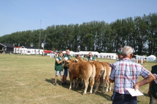 Sønderjyske Fællesskue i Aabenraa - Kvier 12-14 mdr.: Skovlund Limousine v/ Søren L. Paulsen, Toftlund, 23 point. Skovlund Limousine v/ Søren L. Paulsen, Toftlund, 23 point og ærespræmie