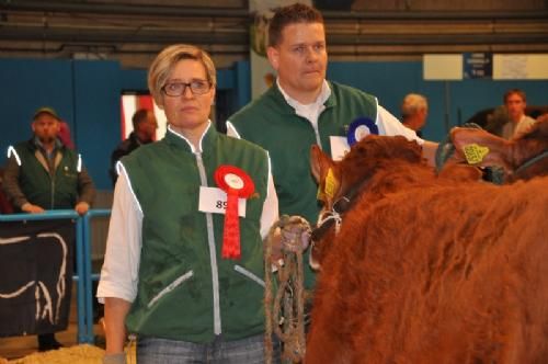 Bedømmelsen torsdag - Kirsten Levinsen lytter til dommerens argumentation for bedømmelsen af dette hold