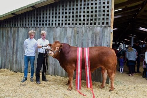 Det fynske dyrskue - 24 point og ærespræmie, bedste yngre tyr, bedste handyr, og Interbreed vinder