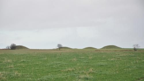 Efterårsmøde - Næste besøgsmål var på Katrinelund hos Lene og Bjarne Pedersen. De bor ved Vinding nær Bryrup i et landskab præget af fortidsminder.