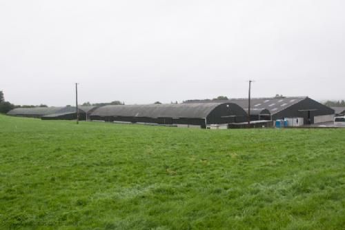 ILC verdenskongres i Irland 20.-28. august 2016 - På dag to, efter det tekniske møde, er der besætningsbesøg på McGee Farmen nær Athlone (midt Irland) – en produktionsbesætning med ca. 250 køer