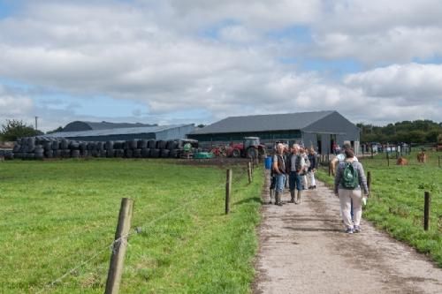 ILC verdenskongres i Irland 20.-28. august 2016 - Drummin Herd er en gård med både malkekvæg og limousiner. Der er ca. 10 limousinekøer af meget høj kvalitet. Der foretages ægtransplantationer.