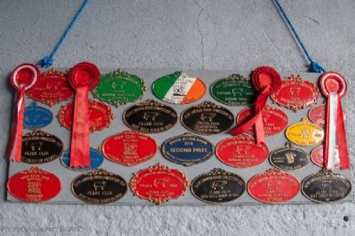 ILC verdenskongres i Irland 20.-28. august 2016 - Plaketterne på væggen beviser, at besætningens dyr har hentet mange præmier hjem