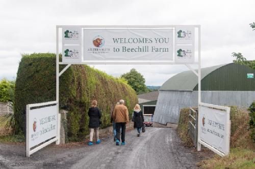 ILC verdenskongres i Irland 20.-28. august 2016 - Dag fire (efter besøg i Newbridge Silver Visitor Centre) besøgte deltagerne Irlands største limousinebesætning Ardlea Elite Limousin Farm, i Mountrath (County Laois). Der er tale om tre besætninger i én: avlsbesætningen Ardlea, embryobesætningen Elite og en krydsningsbesætning. Ca. 260 køer i alt.