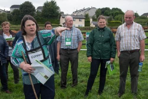 ILC verdenskongres i Irland 20.-28. august 2016 - Det sidste besætningsbesøg er hos Tim, Doreen & Katie Corridan på Roundhill Pedigree Herd i Fedamore, Limerick
