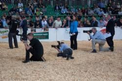 ILC verdenskongres i Irland 20.-28. august 2016  - Meget stor interesse for at fotografere bedømmelsen af limousinerne