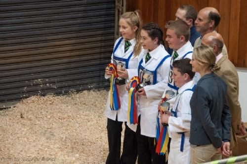 ILC verdenskongres i Irland 20.-28. august 2016 - Ungdommen fik stor opmærksomhed i forbindelse med National Show 2016 – der var Anglo Irish YMA finale og præmieuddeling lige før auktionen.