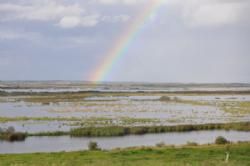 Jyllandstur 2012 - Usædvanligt meget regn er faldet dette år – også i dette område.