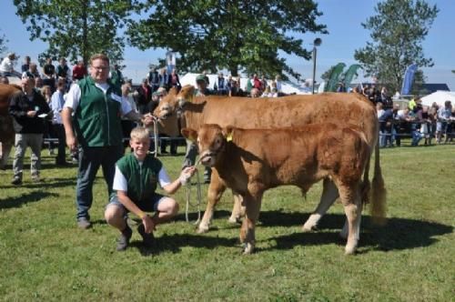 Ærespræmiedyr - Granly Gucci - bedste ko under 3 år fra Granly Limousine v/Bent Schultz Kloster, Vojens