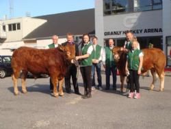 Limousinefestival 2012 - Da gæsterne ankom til Granly Arena blev de modtaget at to flotte Limousinetyre.