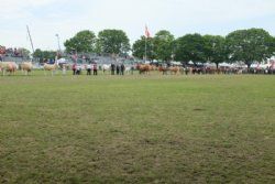 Roskilde dyrskue stemning - billede 20