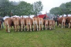 Stemningsbilleder - Besætningsgruppe fra Løserupgård fra Jakob og Hans Kjeld Hansen.