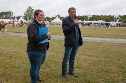 Stemningsbilleder - Torsdag formiddag går det løs med de første bedømmelser. Den franske dommer (th) i 2019 hedder Sebastien Lagrafeuil. Dommerassistent (tv) er danske Lene Black Sinkjær.