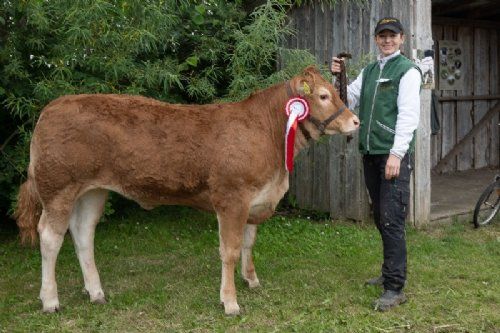Vinderdyr - 06 – kat1661 – Bøgely Ulva, fra Bøgely Limousine, Tommy Jessing, Brørup