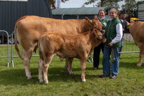 Vinderdyr - 13 – kat1708 – Eg’s Schila – bedste ko under 3 år – fra Hanne Eg Østergaard, Karby