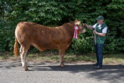 Vinderdyrene - kat1577 – Sundsig Storm – fra Østermarkens Limousine, Bredebro